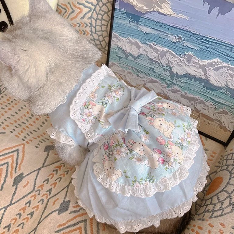 Delantal de encaje Floral para - Lace Teddy Lingerie reseña y precio